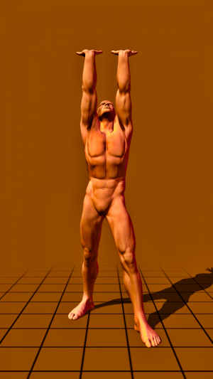 standing - on straight arms
